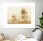 Misty Meadow by Dan Hobday on GIANT ART -  outdoor