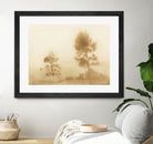 Misty Meadow by Dan Hobday on GIANT ART -  outdoor