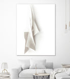 White Elegance by Jenja Braun on GIANT ART - flowers and plants minimalist-art