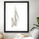 White Elegance by Jenja Braun on GIANT ART - flowers and plants minimalist-art