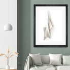 White Elegance by Jenja Braun on GIANT ART - flowers and plants minimalist-art