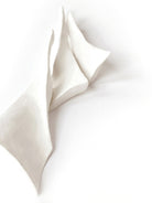 Folded Whispers by Jenja Braun on GIANT ART - flowers and plants minimalist decor