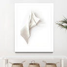 Folded Whispers by Jenja Braun on GIANT ART - flowers and plants minimalist decor