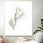 Folded Whispers by Jenja Braun on GIANT ART - flowers and plants minimalist decor