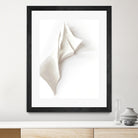 Folded Whispers by Jenja Braun on GIANT ART - flowers and plants minimalist decor