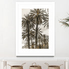 Sicilian Memories 17 by Mareike Bohmer on GIANT ART -  botany