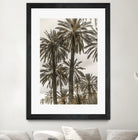 Sicilian Memories 17 by Mareike Bohmer on GIANT ART -  botany