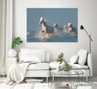 Angels of Camargue by Rostovskiy on GIANT ART - animals horse