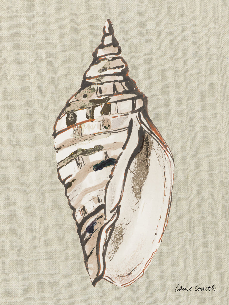 Shell on Burlap II by Lanie  Loreth on GIANT ART - coastal shell