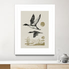 Lake Meditation ll by Victoria Barnes on GIANT ART - animals nature birds