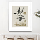 Lake Meditation ll by Victoria Barnes on GIANT ART - animals nature birds