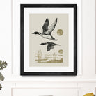 Lake Meditation ll by Victoria Barnes on GIANT ART - animals nature birds