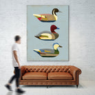 Decoy Ducks I by June Erica Vess on GIANT ART - animals nature birds