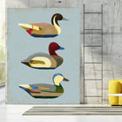 Decoy Ducks I by June Erica Vess on GIANT ART - animals nature birds