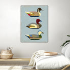 Decoy Ducks I by June Erica Vess on GIANT ART - animals nature birds