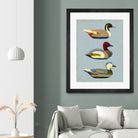 Decoy Ducks I by June Erica Vess on GIANT ART - animals nature birds