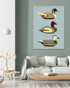 Decoy Ducks I by June Erica Vess on GIANT ART - animals nature birds