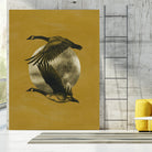 Copilots II by Grace Popp on GIANT ART - animals nature birds