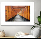 Fushimi Inari Shrine, Kyoto by Nick Jackson on GIANT ART - orange photo art