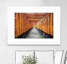 Fushimi Inari Shrine, Kyoto by Nick Jackson on GIANT ART - orange photo art
