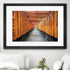 Fushimi Inari Shrine, Kyoto by Nick Jackson on GIANT ART - orange photo art