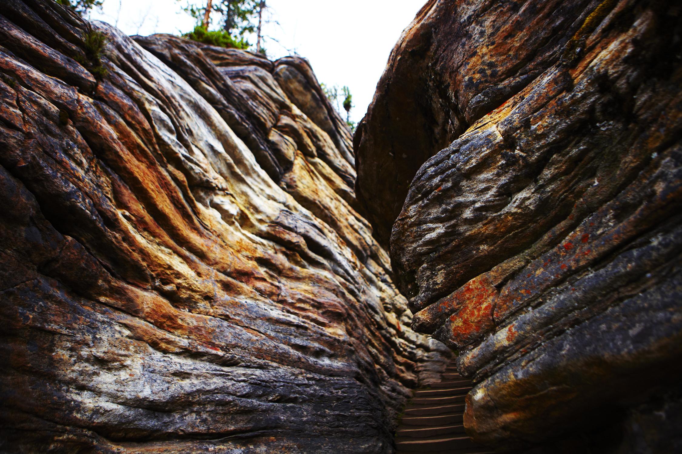 Landscape V by Peter Morneau on GIANT ART - orange photo art