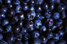 Blueberries I by Peter Morneau on GIANT ART - blue photo art