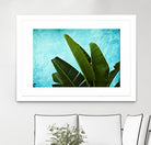 Tropical III by Peter Morneau on GIANT ART - green photo art