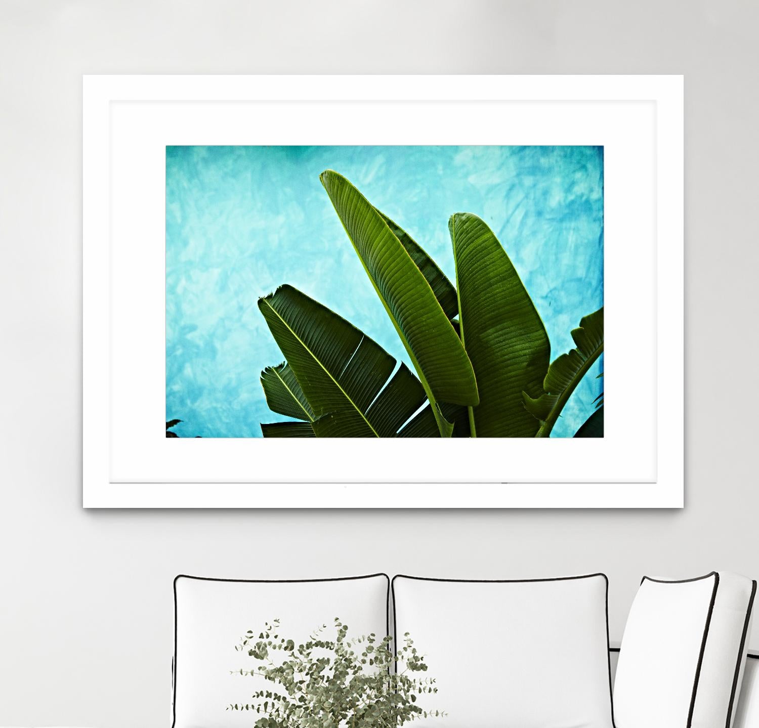 Tropical III by Peter Morneau on GIANT ART - green photo art