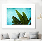 Tropical III by Peter Morneau on GIANT ART - green photo art