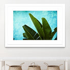 Tropical III by Peter Morneau on GIANT ART - green photo art