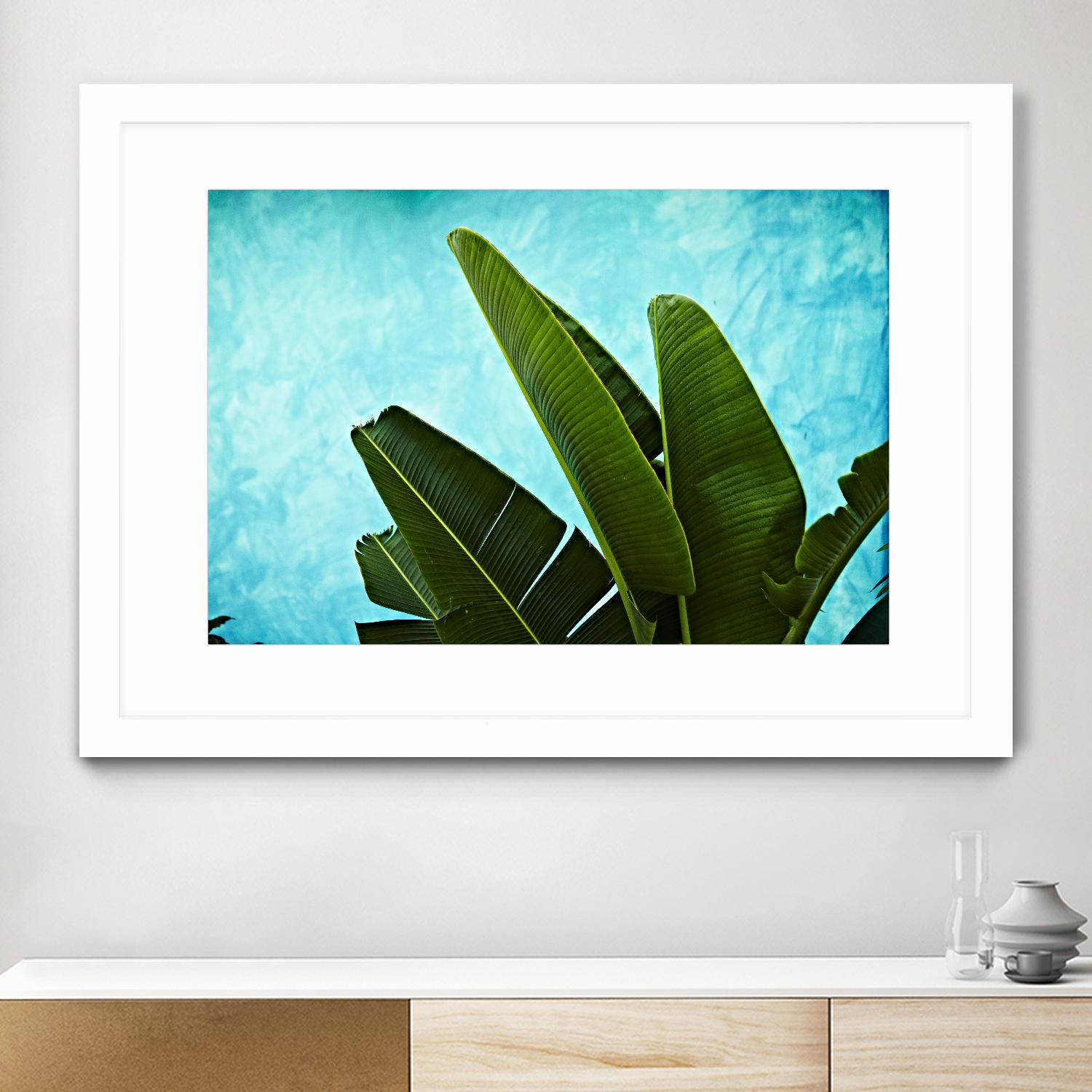 Tropical III by Peter Morneau on GIANT ART - green photo art