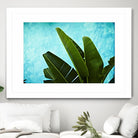 Tropical III by Peter Morneau on GIANT ART - green photo art