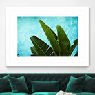 Tropical III by Peter Morneau on GIANT ART - green photo art