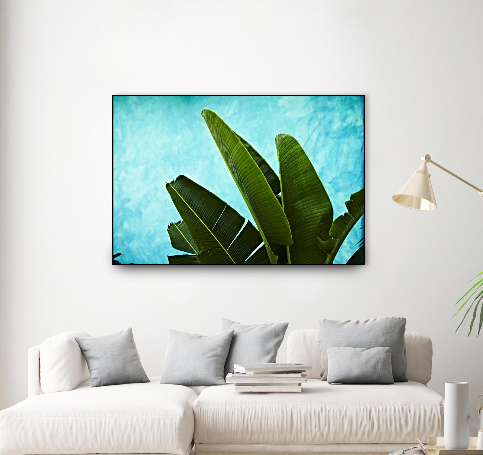 Tropical III by Peter Morneau on GIANT ART - green photo art