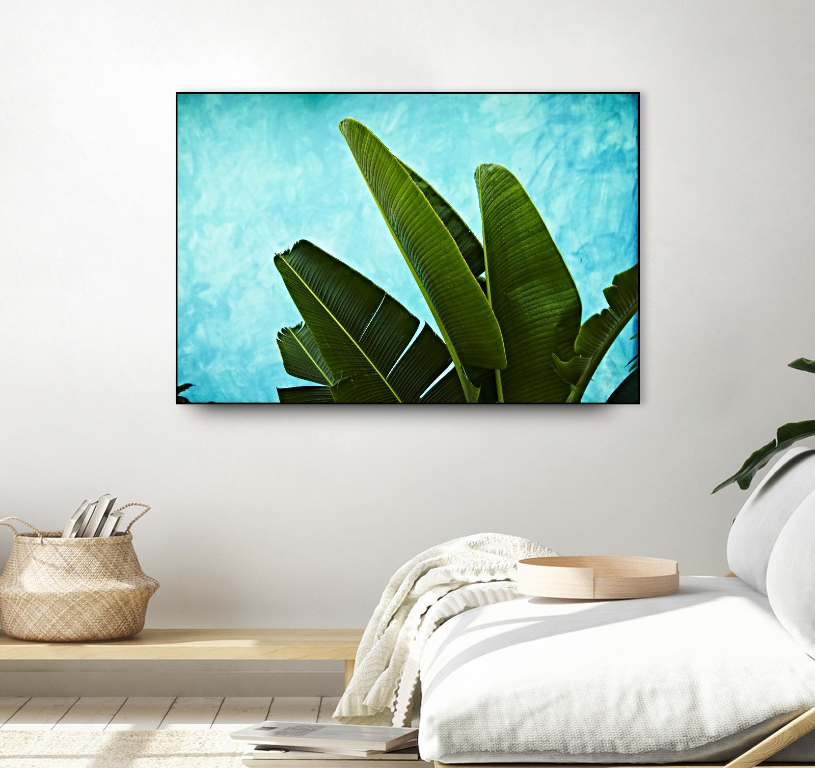 Tropical III by Peter Morneau on GIANT ART - green photo art