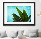 Tropical III by Peter Morneau on GIANT ART - green photo art