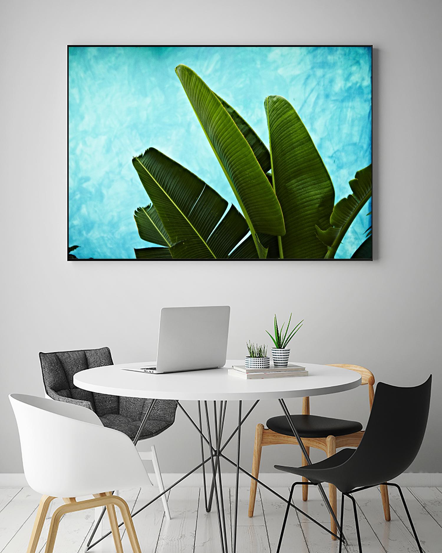 Tropical III by Peter Morneau on GIANT ART - green photo art