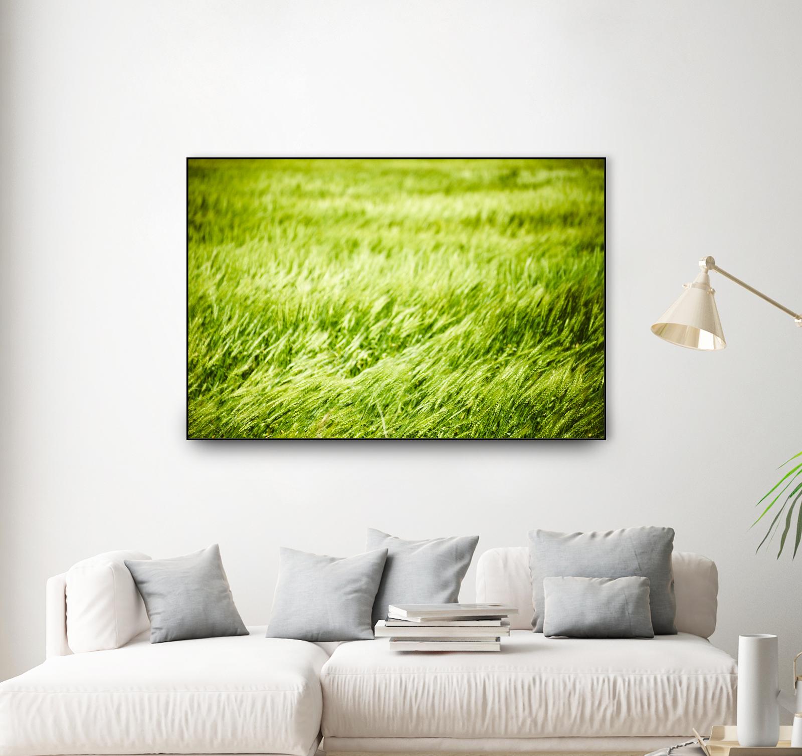 Grass I by Peter Morneau on GIANT ART - green photo art