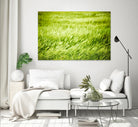Grass I by Peter Morneau on GIANT ART - green photo art