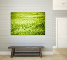 Grass I by Peter Morneau on GIANT ART - green photo art