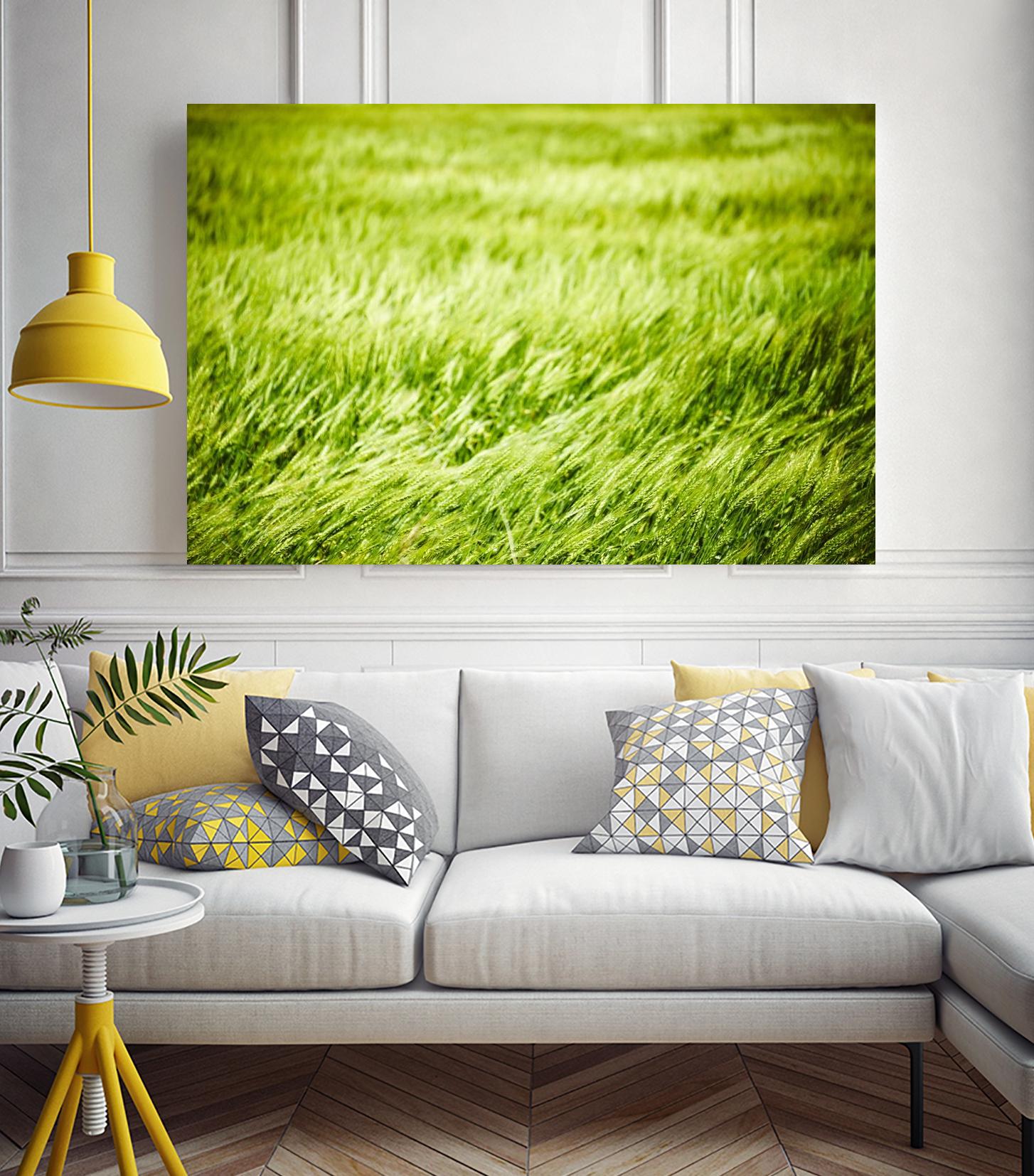 Grass I by Peter Morneau on GIANT ART - green photo art