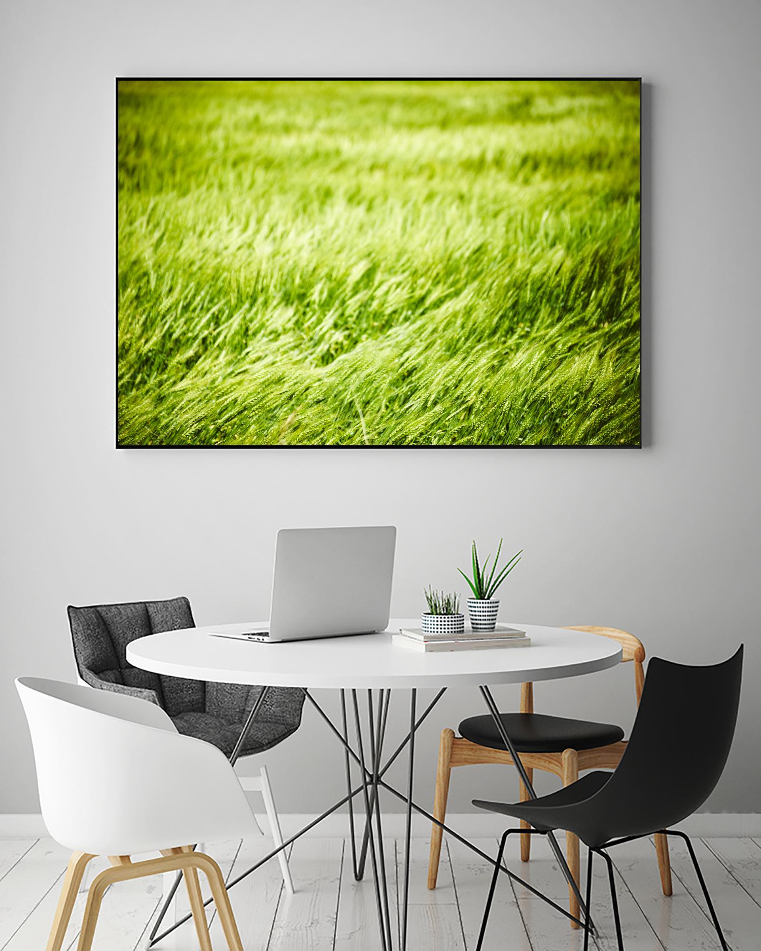 Grass I by Peter Morneau on GIANT ART - green photo art