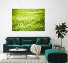 Grass I by Peter Morneau on GIANT ART - green photo art