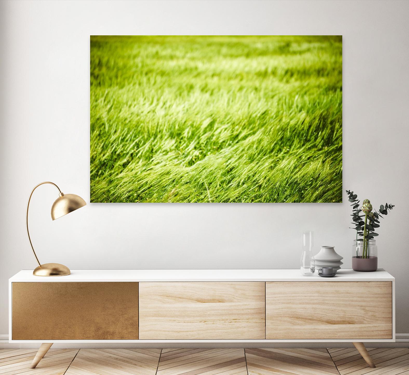 Grass I by Peter Morneau on GIANT ART - green photo art