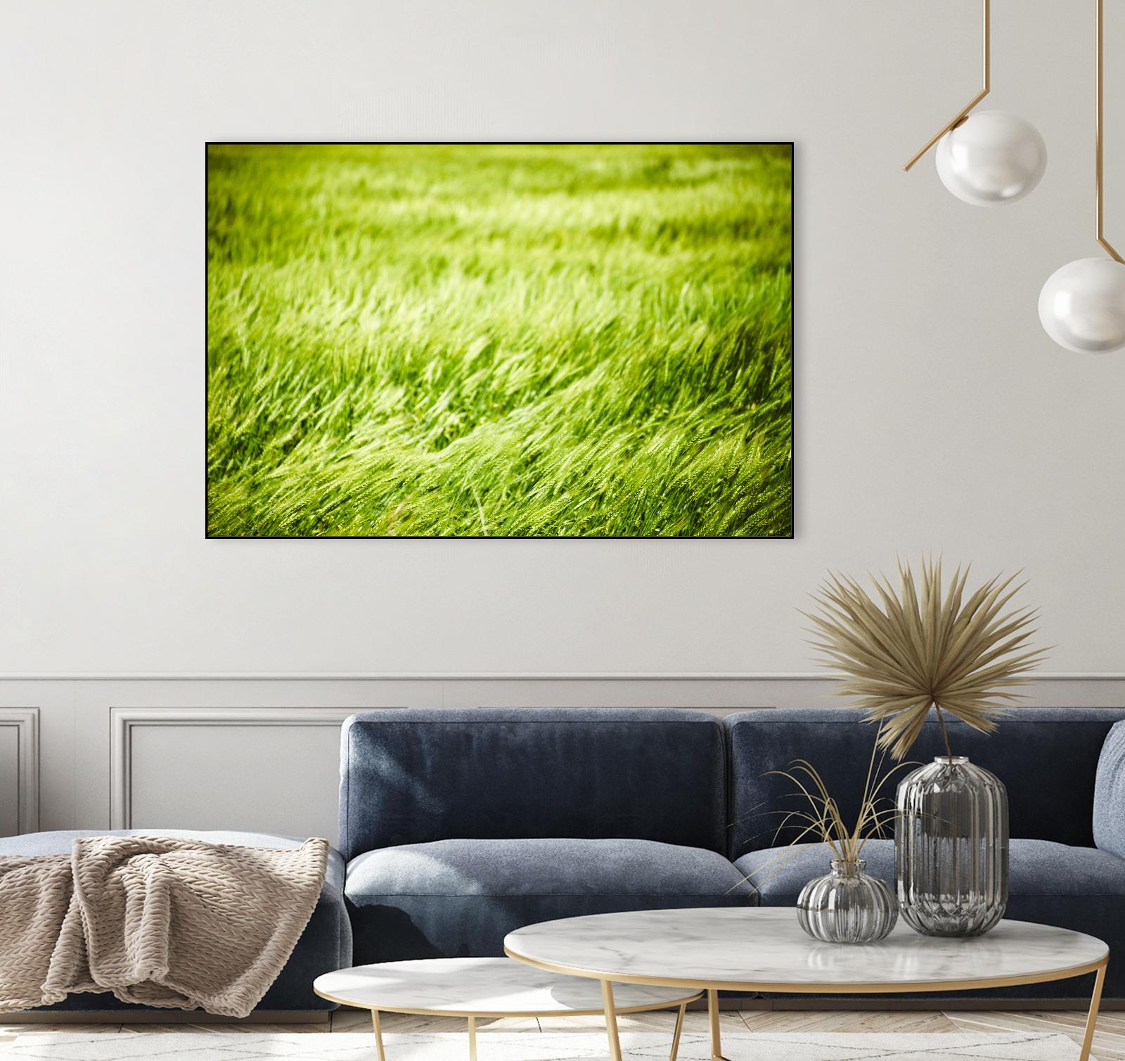 Grass I by Peter Morneau on GIANT ART - green photo art