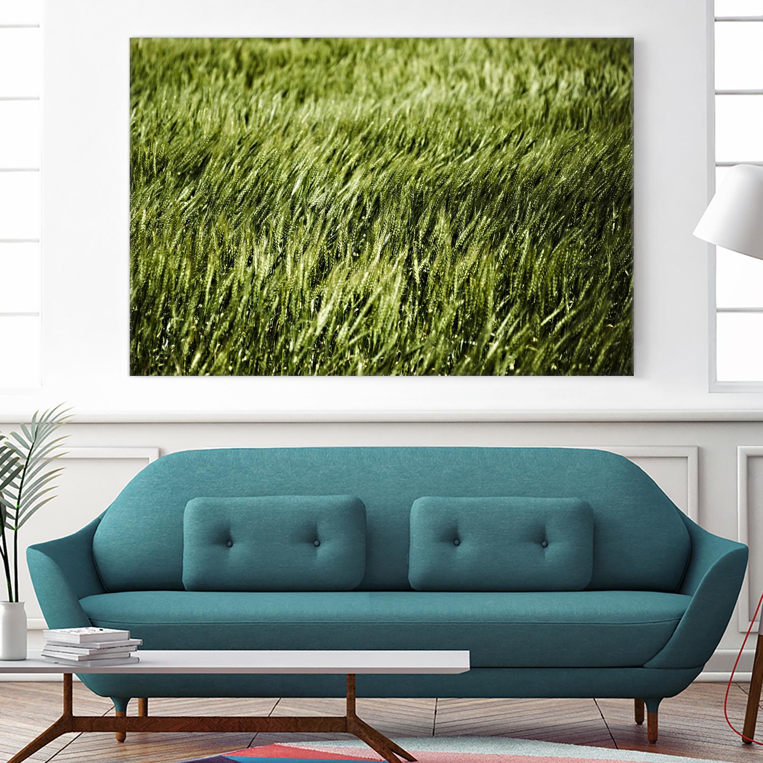 Grass II by Peter Morneau on GIANT ART - green photo art