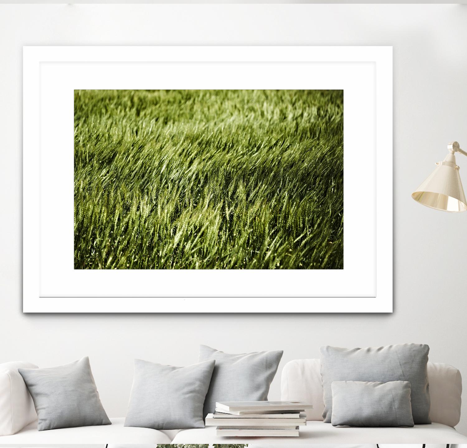 Grass II by Peter Morneau on GIANT ART - green photo art