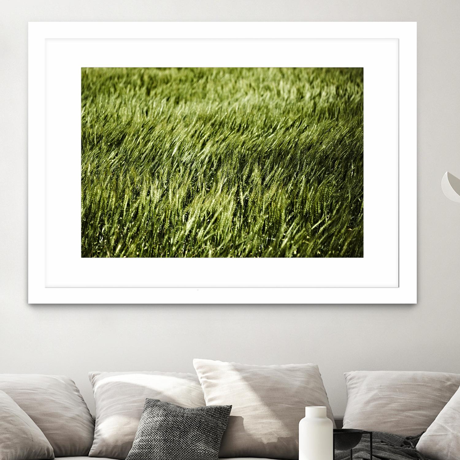 Grass II by Peter Morneau on GIANT ART - green photo art