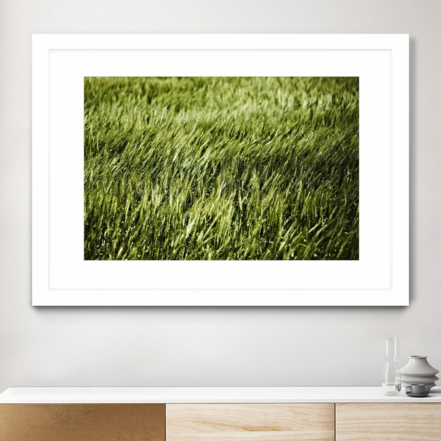 Grass II by Peter Morneau on GIANT ART - green photo art